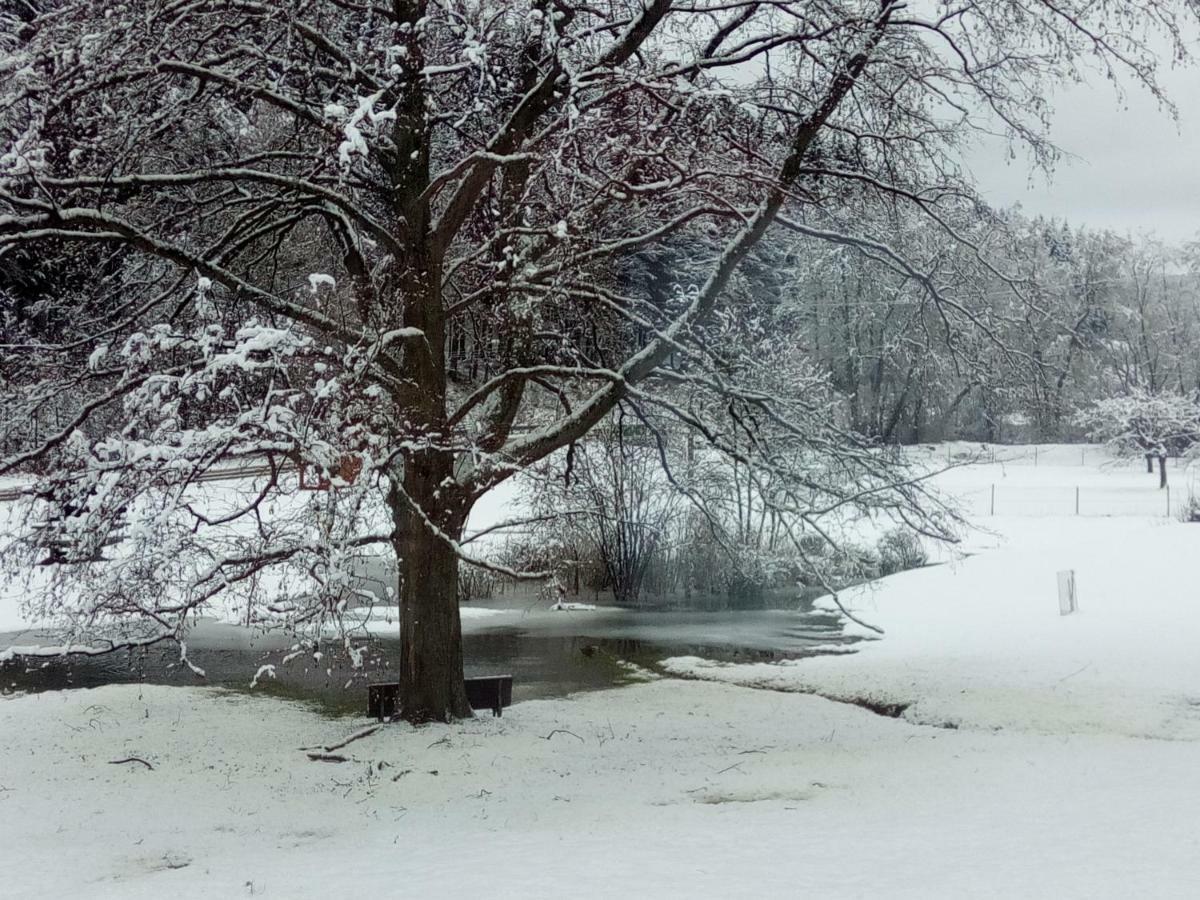Hotel Koliba Vrbno pod Pradedem Bagian luar foto